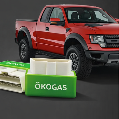 Halbieren Sie Ihre Tankkosten mit ÖkoGas™ - V2