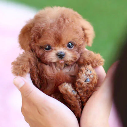 Real Puppy - Realistischer Roboter Welpe